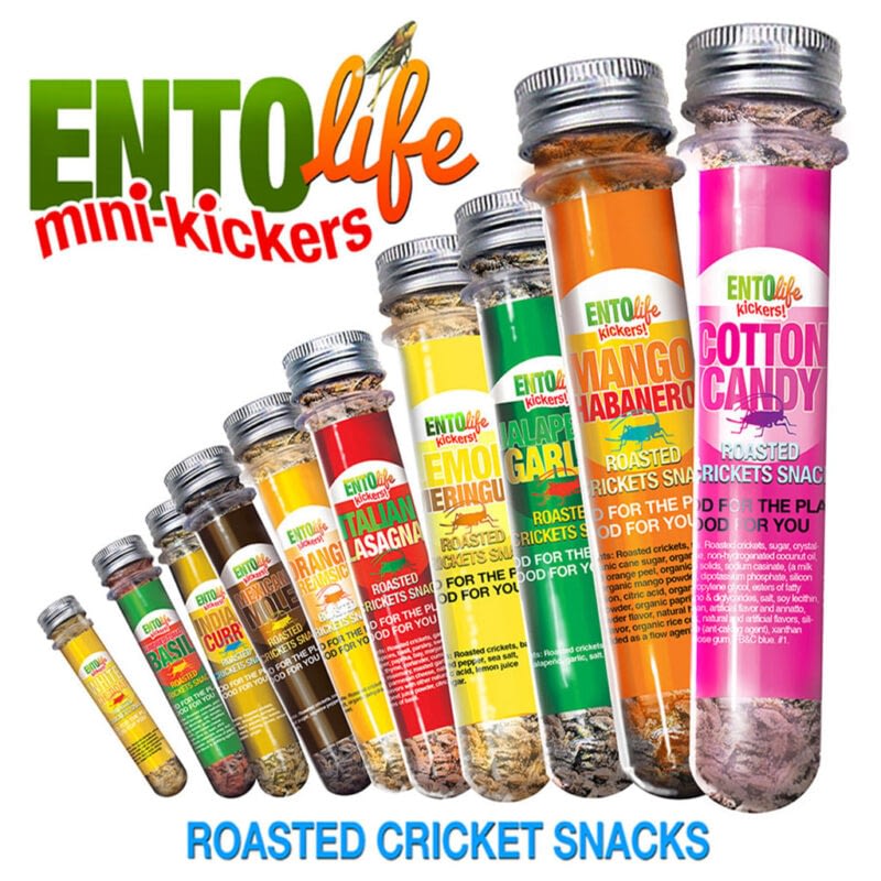 Mini-Kickers Flavored Cricket Snacks