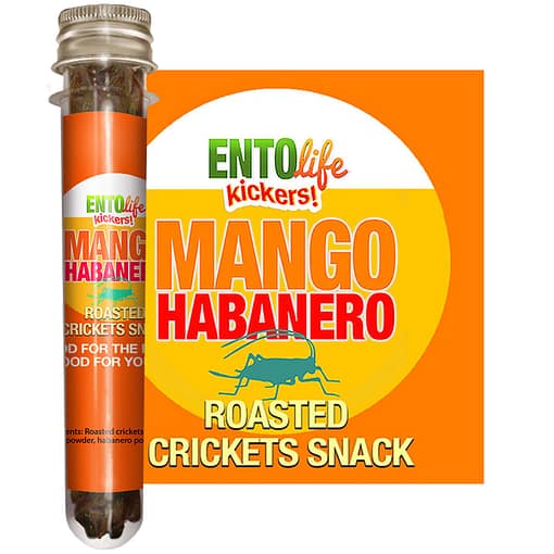 Mango Habanero Flavored Crickets