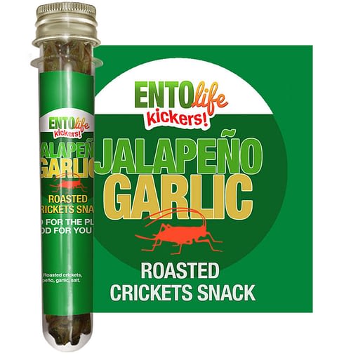 Jalapeno Garlic Flavored Crickets