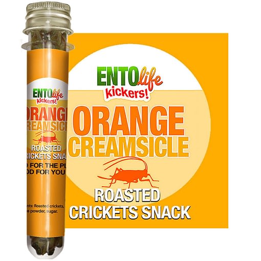 Orange Creamsicle Flavored Crickets