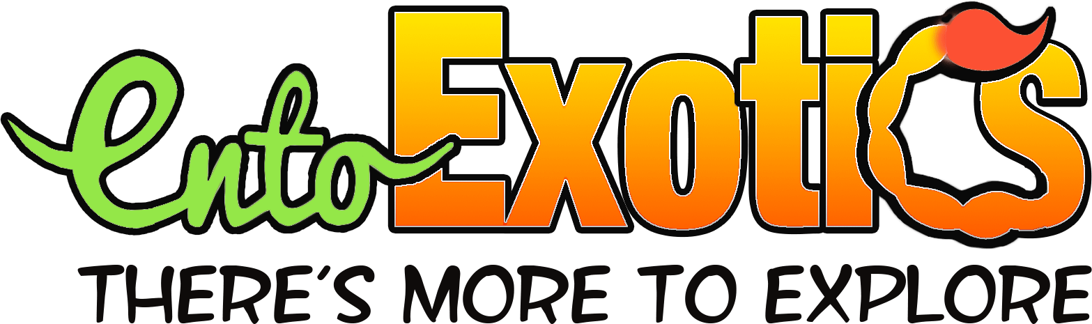 EntoExotics Logo