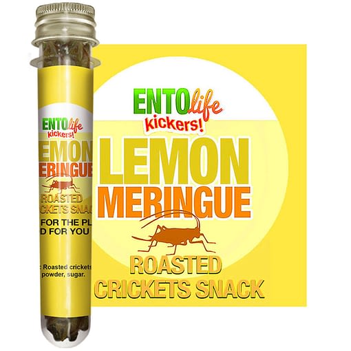 Lemon Meringue Flavored Crickets