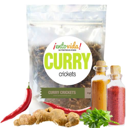 Curry Cricket Snacks