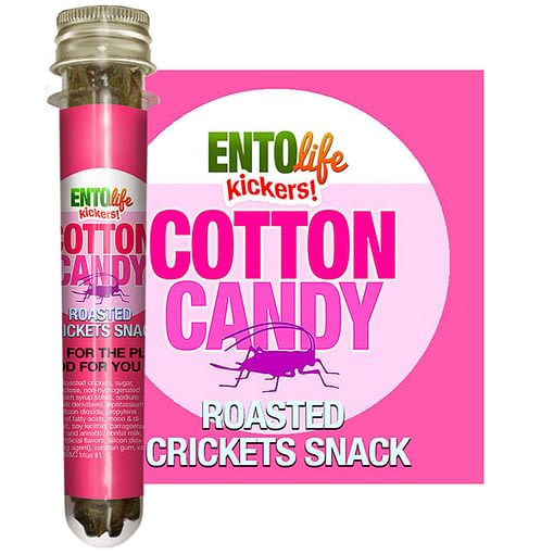 Cotton Candy Flavored Crickets