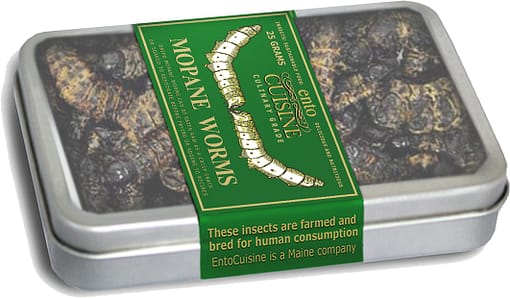 Roasted Mopane Worms