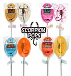Wholesale Scorpion Suckers