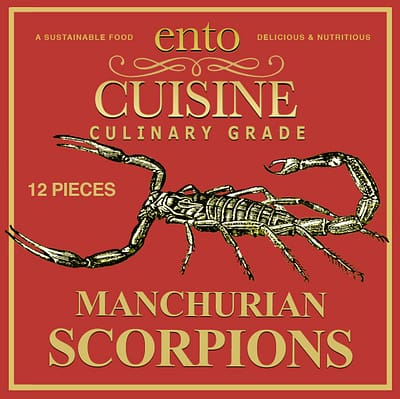 Edible Scorpions