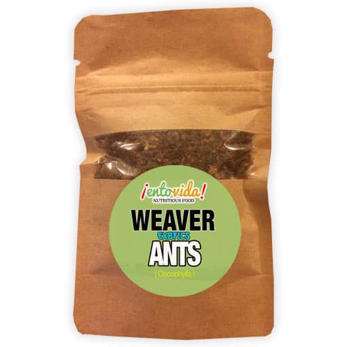 Weaver Ant Sample