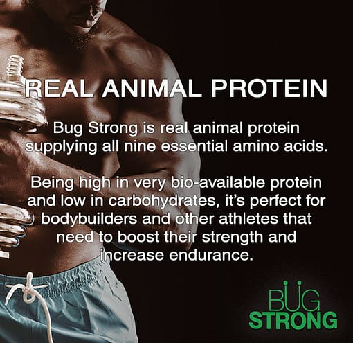 Real Animal Protein
