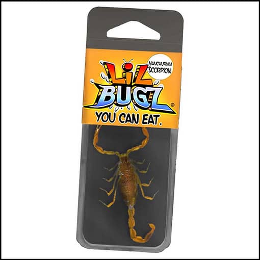 Lil Bugz Edible Single Scorpion