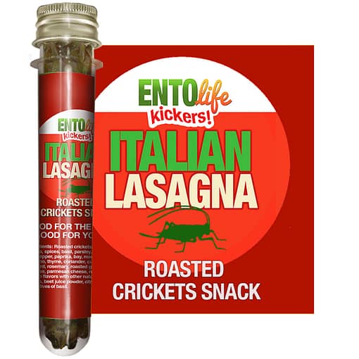 Italian Lasagna Flavored Crickets
