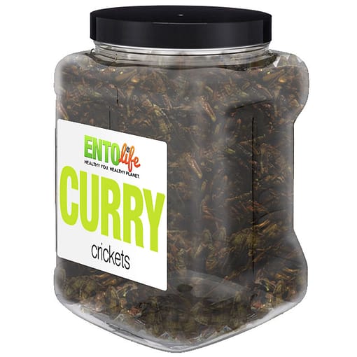 Curry Crickets Bulk