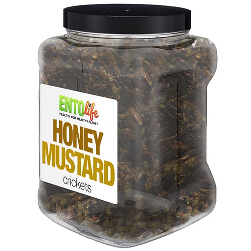 Honey Mustard Crickets Bulk