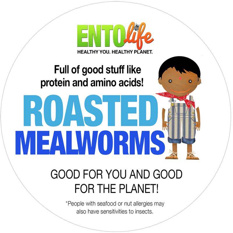 Roasted Mealworms